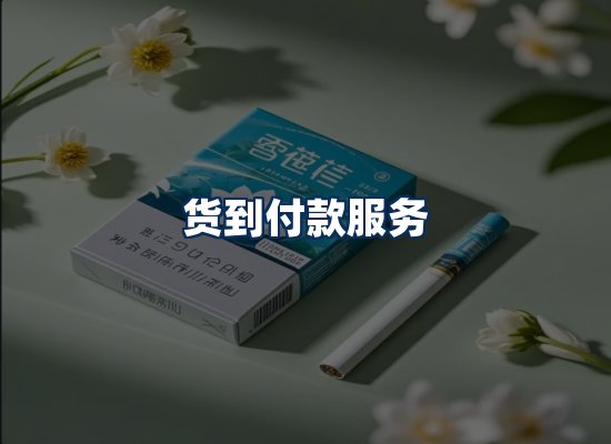 专业团队办公环境